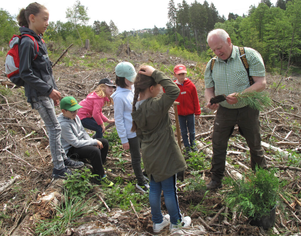 Pflanzaktion: Reimund Lesen vom Jugendwaldheim erklärt den Kindern, was sie beim Einpflanzen der Mammutbäumchen beachten müssen. Foto: Sonja Hillebrand