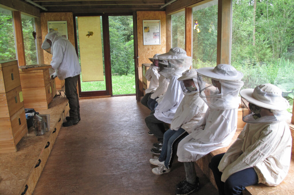 Nah dran: Die Kinder sitzen gespannt im Bienenhaus und warten auf das erste Bienenvolk. Foto: Sonja Hillebrand