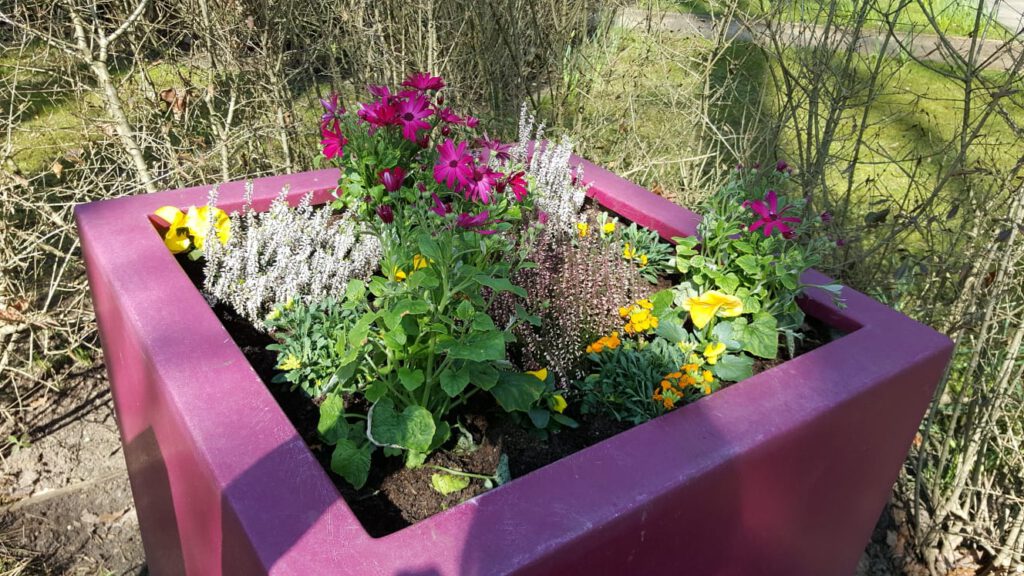 Ehrenamtliche haben den GlaubensGarten geputzt und mit bunten Frühblühern frühlingsschön gemacht. In der Saison 2021 ist eine Vielzahl an Veranstaltungen geplant, so das Pandemiebedingt möglich ist. Foto: Peter Vogt