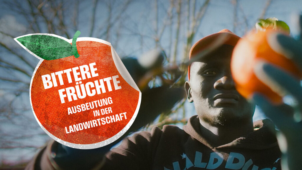 Die Fernsehdokumentation „Bittere Früchte – Ausbeutung in der Landwirtschaft“, die am 19. März auf ARTE erstmals ausgestrahlt wird, stellt die oft menschenunwürdige Arbeits- und Lebenssituation der Erntehelfer in Südeuropa darFoto: Berlin Producers 