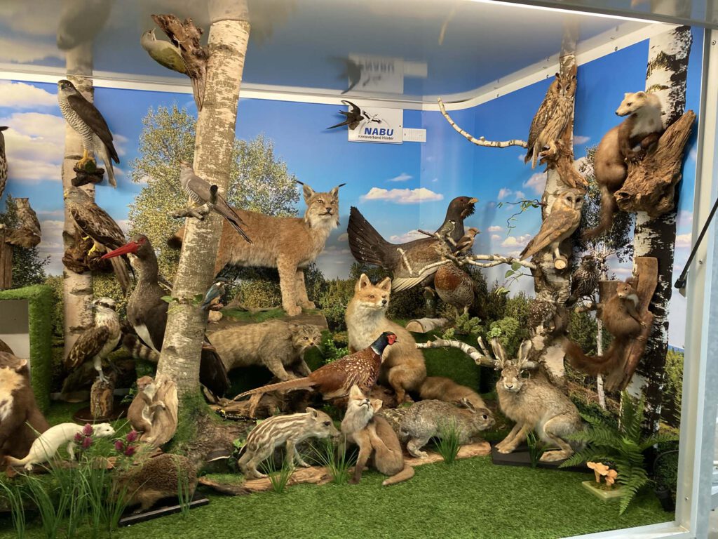 Ausstellung im Anhänger zu Pflanzen und Tieren.