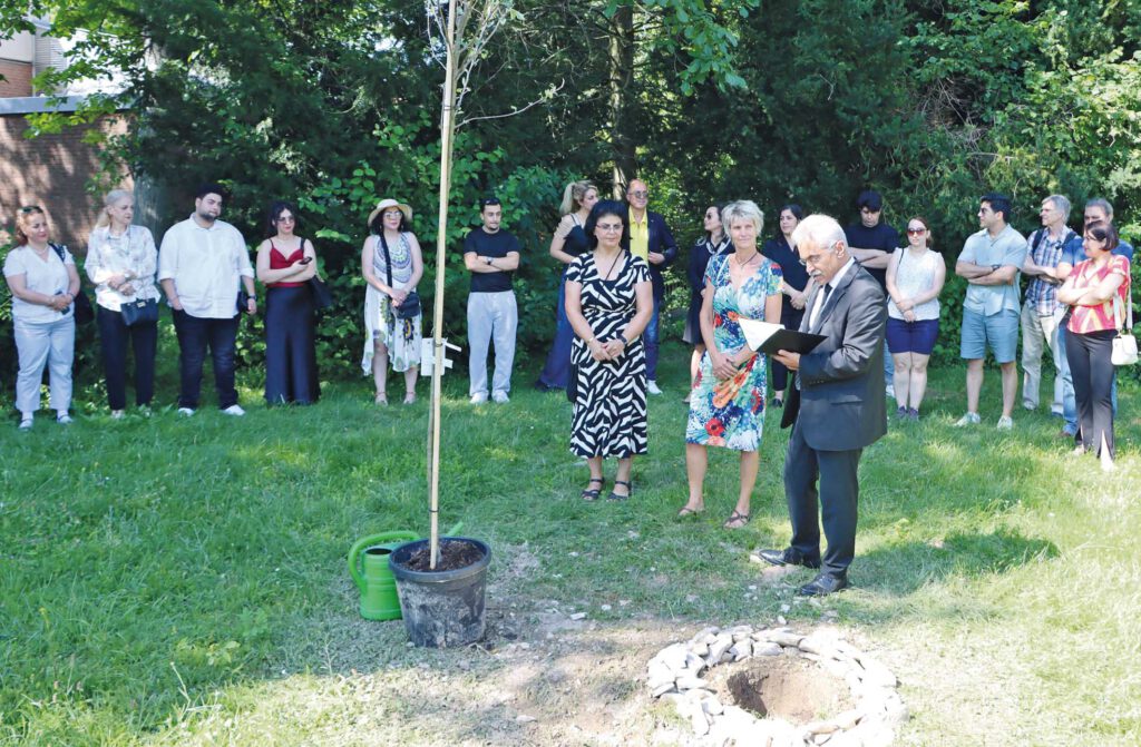 Menschen pflanzen einen Baum.